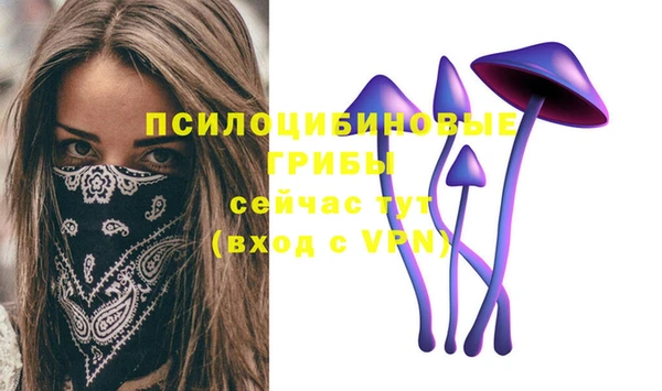 MESCALINE Нягань