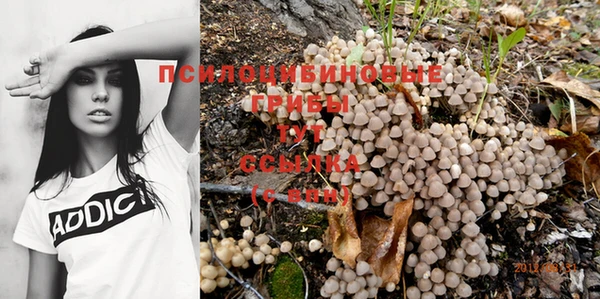 прущая мука Няндома