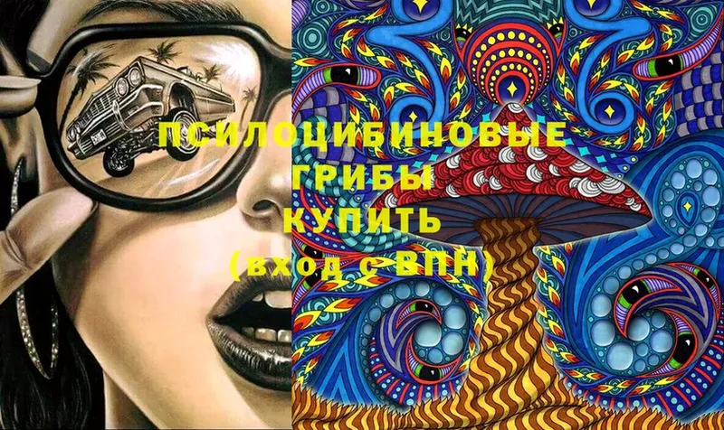 Галлюциногенные грибы Cubensis  Полярные Зори 