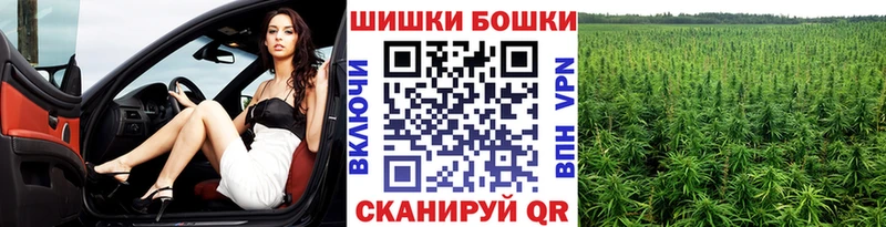 Каннабис MAZAR  Полярные Зори 